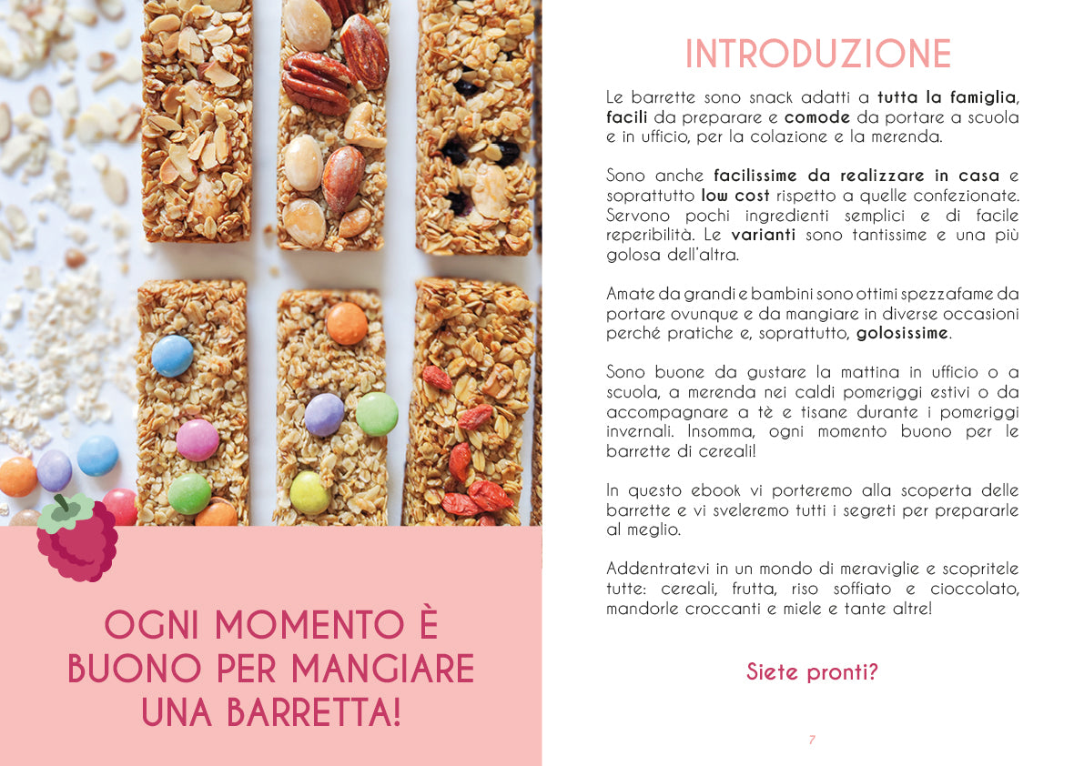Barrette Homemade che Passione